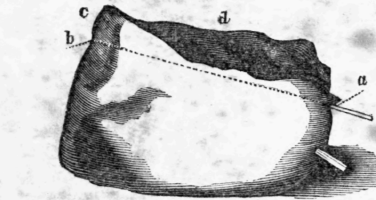 2-Aitch-Or-Edgebone-Of-Beef-6
