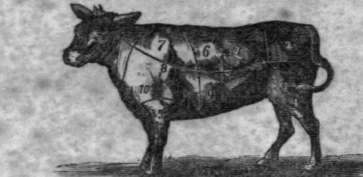 Veal Cuts