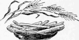 No 729 Cheese Sticks or Straws 62