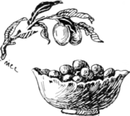 No 736 Stuffed Olives 64