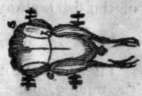 Partridge 62