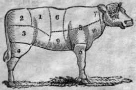 The Joints In A Calf