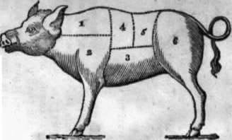 The Joints In A Pig