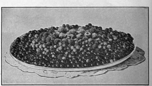 Red and White Currant and Raspberry. Recipe on Page 274.