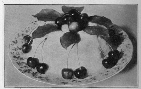 Steamed Rice, Molded and Garnished with Cherries.