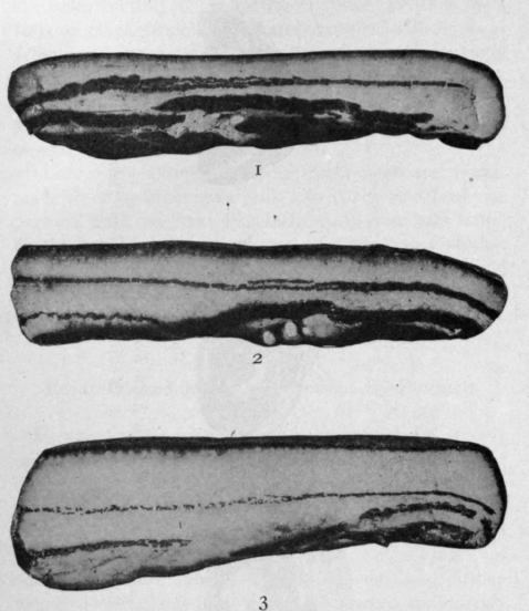 Sugar Cured Breakfast Bacon.