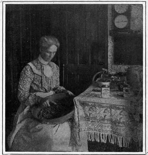 Chopping The Mincemeat