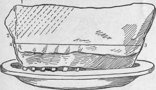 NECK OF VEAL
