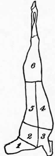 Side Of Mutton 13
