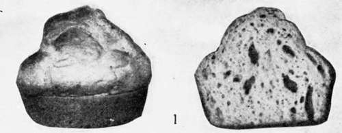 Muffins 103