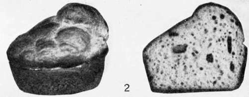 Muffins 104