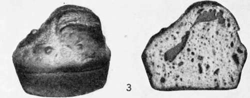 Muffins 105