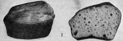Muffins 107