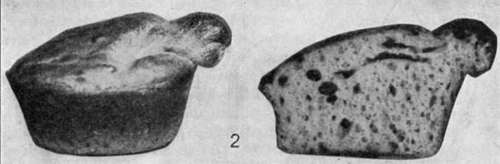 Muffins 108