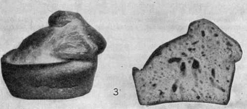 Muffins 109