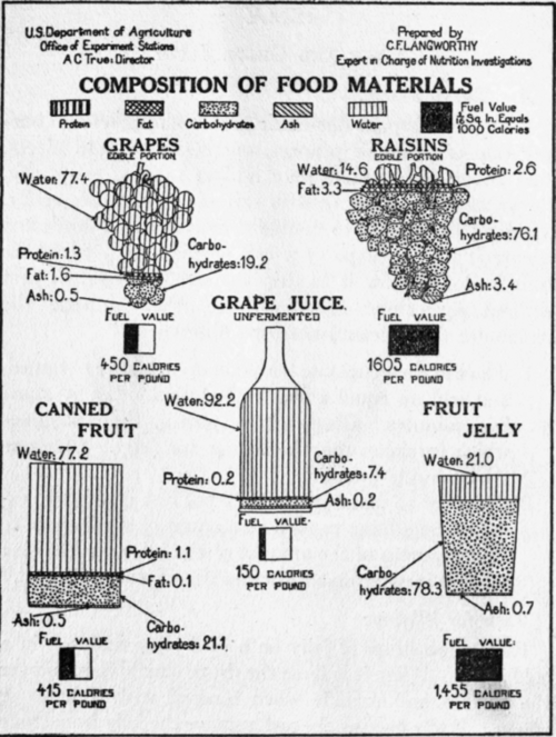 Composition of Fruits and Fruit Products