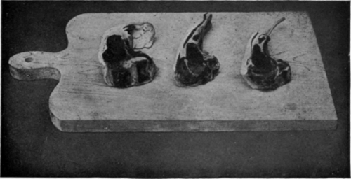 Kidney Rib French