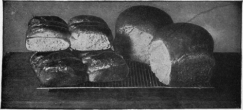 Loaf of Bread and Parker House Rolls