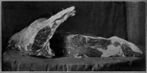 Ribs and Short Loin