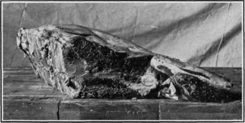 Wedge Bone Sirloin of Beef