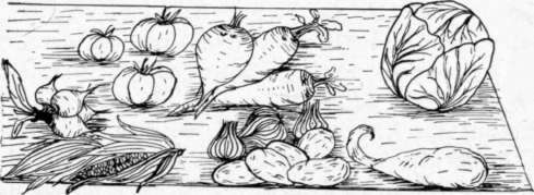 What Place Should Vegetables Have in the Diet 19