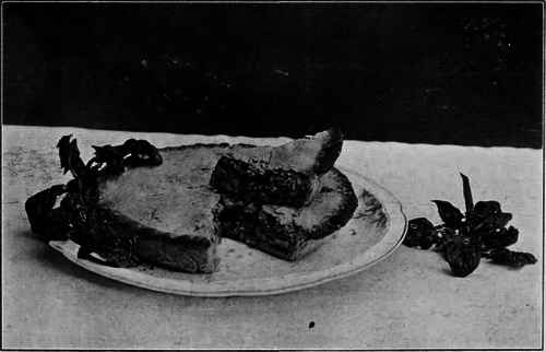 Nut Pastry Pie