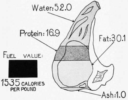 Edible Portion