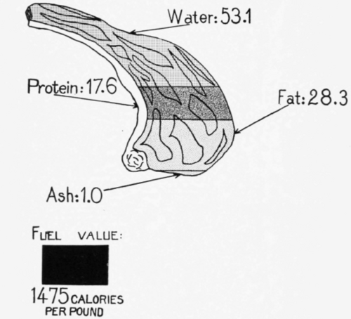 Lamb Chop Edible Portion