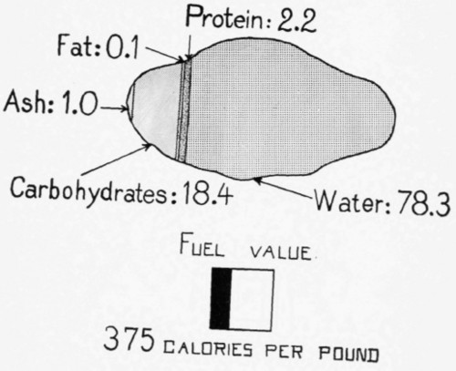 Potato
