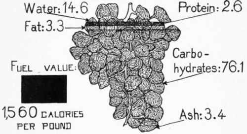Raisins Edible Portion