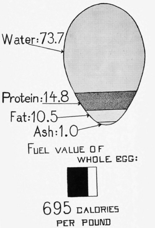 Whole Egg