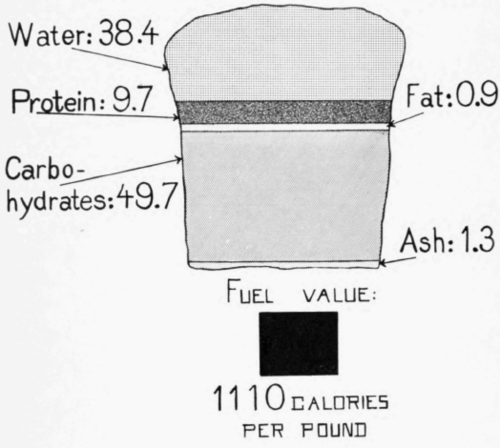Whole Wheat Bread