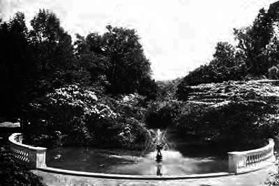 IN SUMMER