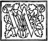 letter w