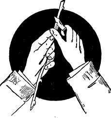 Cutting the   bud with inverted scion.