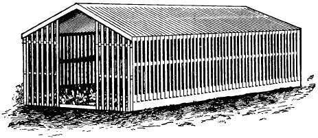 Lath covered Shed for Seed beds
