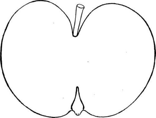 Apple Variety: Cogswell