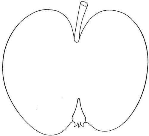 Apple Variety: Horse