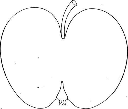 Apple Variety: Late Strawberry