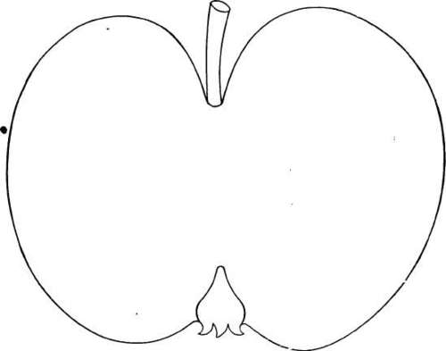 Apple Variety: Ohio Nonpareil