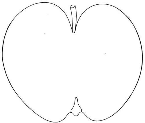 Apple Variety: Ribston