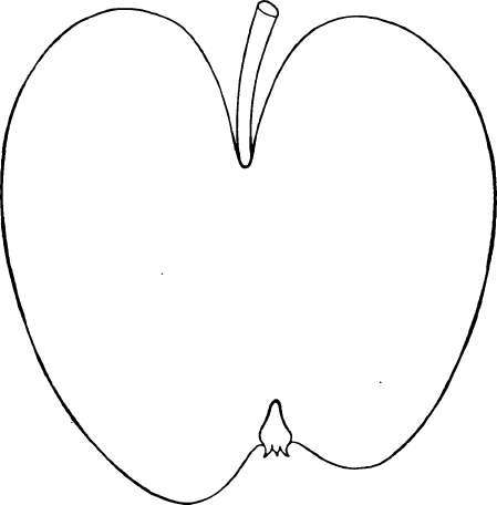 Apple Variety: Romanite, South