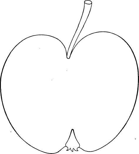 Apple Variety: Summer Queen