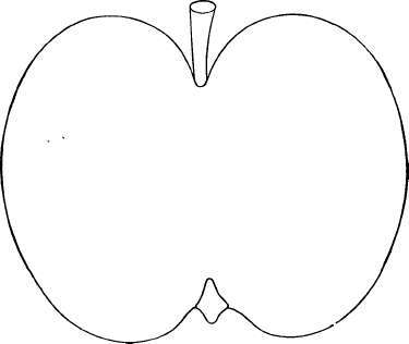 Apple Variety: Summer Rose