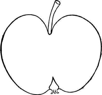 Apple Variety: Swazy Pomme Gris