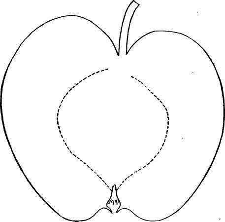 Apple Variety: Williams Favorite