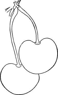 Bigarreau And Heart Cherry Varieties E H 228