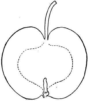 Crab Apple Variety: Hesper Blush Crab