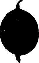 Gooseberry Wellington