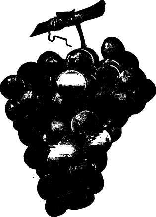 Grape: Eaton. (Reduced)